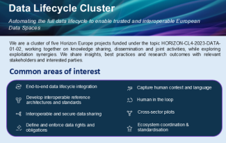 Common European Data Spaces